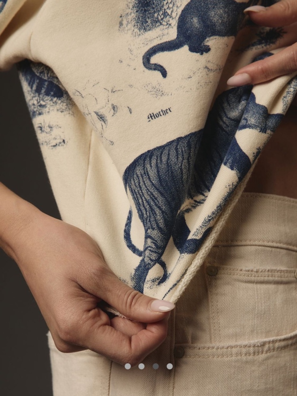 Anthropologie MOTHER Boost Crop Sweatshirt - Picture 4 of 11
